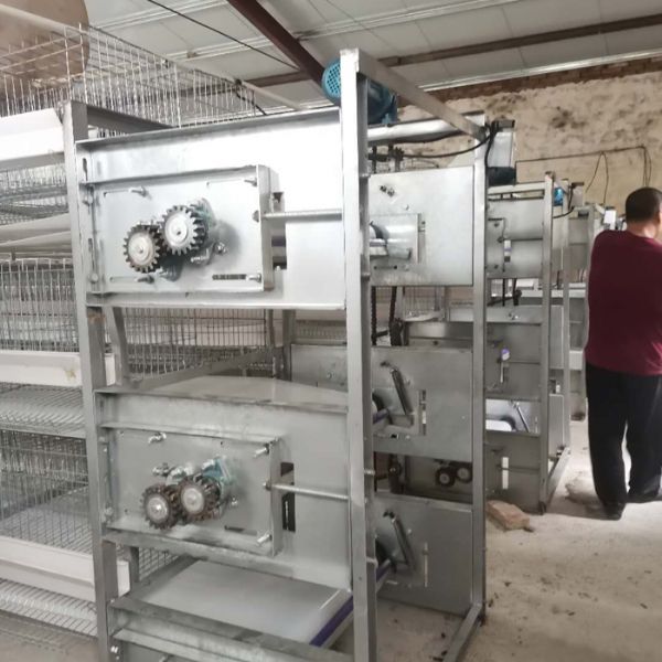 肉雞全自動(dòng)清糞機(jī)